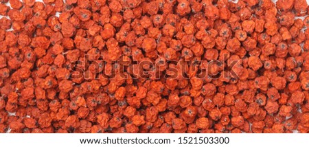 Dried Rowan berries (mountain ash) close-up. Culinary background. Selective focus, top view, long picture, banner