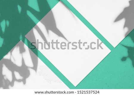 Three empty white rectangle poster or card mockups lying diagonally with oleander leaves and flowers shadows on trendy mint green concrete background. Flat lay, top view. Open composition.