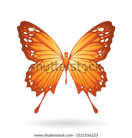Illustration of a Colorful Butterfly isolated on a white background
