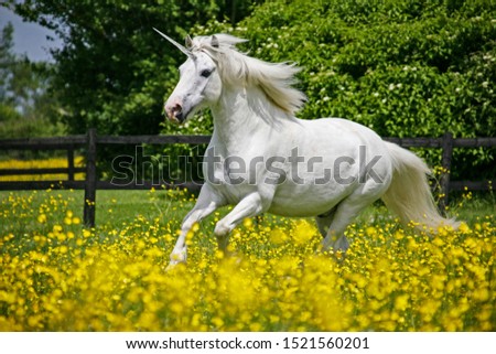 A unicorn canters through a field of buttercups Royalty-Free Stock Photo #1521560201