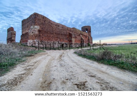  Castle ruins in the city of Kolo