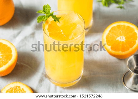 Homemade Orange Crush Cocktail with Mint and Vodka Royalty-Free Stock Photo #1521572246
