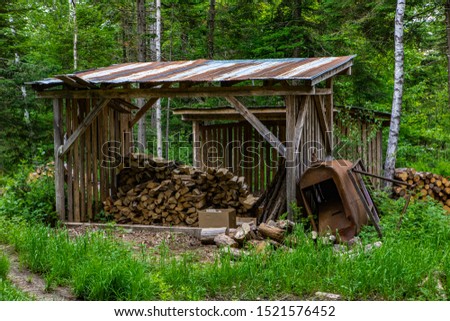 Diverse people enjoy spiritual gathering An old dilapidated shelter is seen keeping chopped logs dry in rural woodland, fuel for campsite fires stored under dry shed.