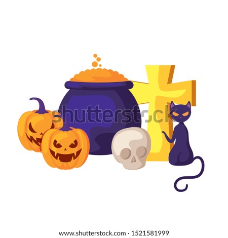pumpkins with cat and icons halloween vector illustration design