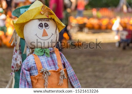 The scarecrow with a happy demeanor looks at the camera on the left side of the pumpkin patch. An out of focus background filled with warm sunny afternoon light adorns lots of pumpkins.