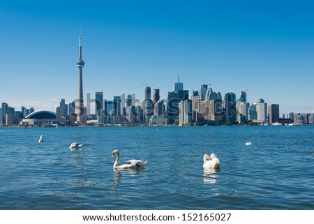 Toronto skyline with swans (Building signs are removed)