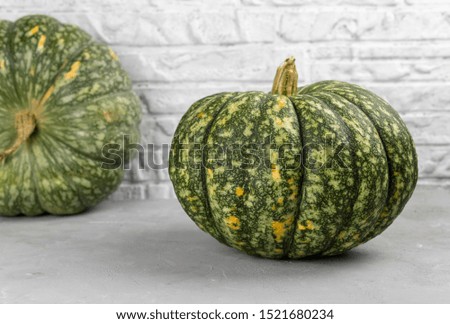 Big pumpkin. Ripe green pumpkin on kitchen table. Autumn pumpkin harvest.