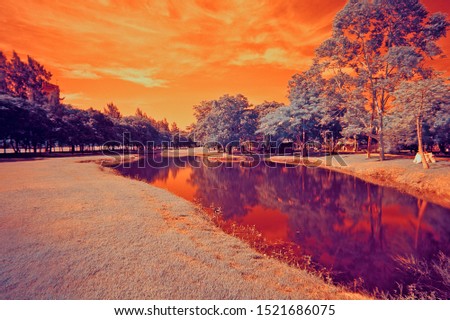 A series of photos taken in the park with infra-red filter then post process to a vivid pictures style.