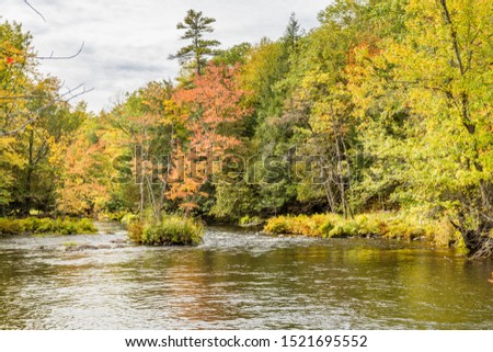 Early Fall Scenic picture of Cordova Falls Peterborough Ontario Canada featuring forest trees with vibrant reds and oranges color leaves and lower Cordova rapids