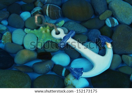 Sea bottom with shells and stones