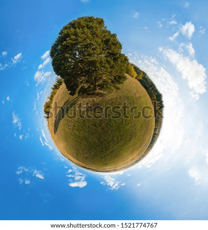 Little planet transformation of spherical panorama 360 degrees. Concept tiny planet image of the lonely big pine tree with summer landscape