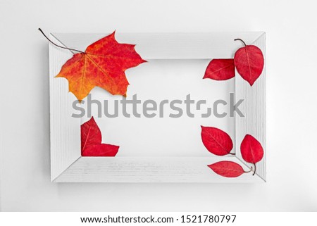 wooden white frame, autumn bright foxes around, place for an inscription, autumn picture