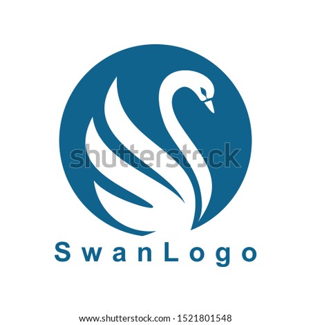 simple swan logo design vector