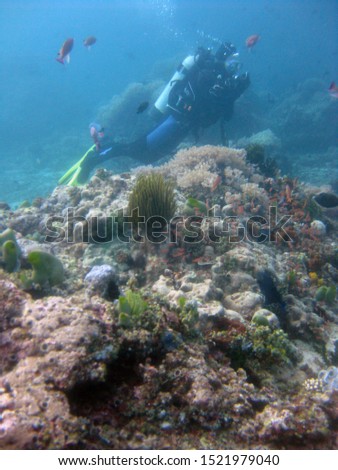 A vertical shot of a scuba diver wearing diving suit, fins and equipment swimming near coral reefs