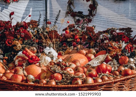 autumn fall market pumpkin halloween fruits food vegatebles