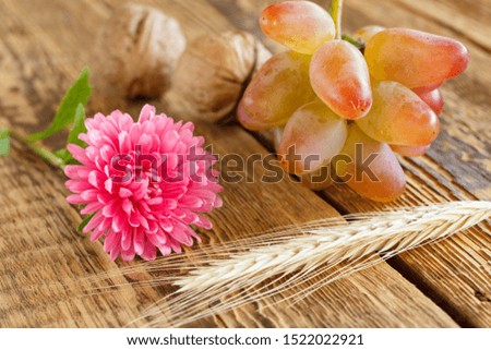 Close-up red aster with grapes, walnuts and wheat ear on old wooden boards. Shallow depth of field. Autumn scene.