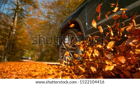 LOW ANGLE, CLOSE UP, DOF: Large 4x4 vehicle drives along a road full of beautiful brown fallen leaves. Cinematic shot of dry leaves flying up in the air as the metallic blue SUV drives through forest. Royalty-Free Stock Photo #1522104416