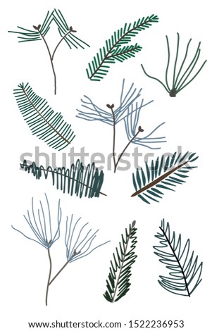 Hand drawn vector Christmas elements (Christmas and pine branches) Christmas branches. Naturalistic and stylized. Colored, isolated on white background.Perfect for invitations, cards, posters, print.