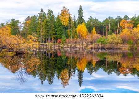 in the water of the river is reflected autumn forest of yellow and green trees and a blue sky with clouds