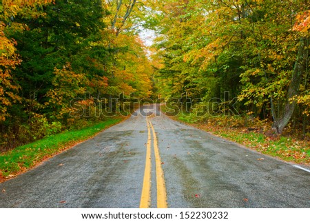 Road in the autumn forest,  Washington Island, Wisconsin