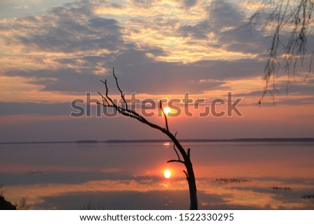 Dead tree in the water against the sunset.The sun is above the horizon and the illuminated sky with clouds mirrored on the smooth surface of the lake.A great end to the day.Exclusive picture of nature