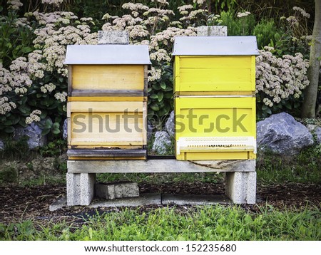 Picture of two been boxes in the nature