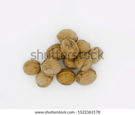 lots of walnuts on a light background                