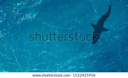 Shadow of a big shark underwater, top view of the ocean, sea waves Royalty-Free Stock Photo #1522425956