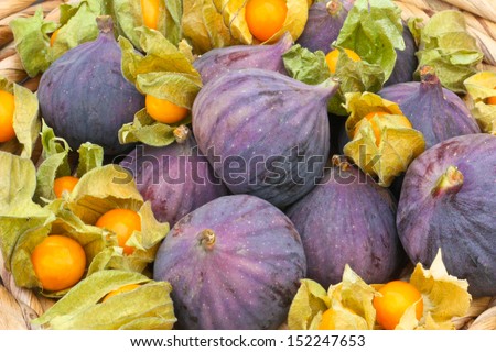 figs and physalis Royalty-Free Stock Photo #152247653