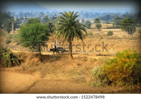 Bullock cart still being used in rural areas of India