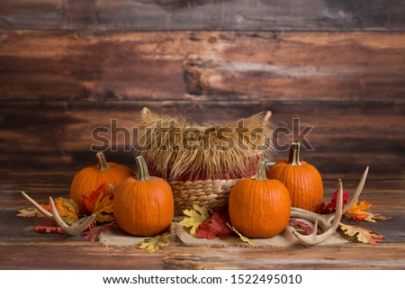 Newborn Digital Background Autumn Pumpkin Royalty-Free Stock Photo #1522495010