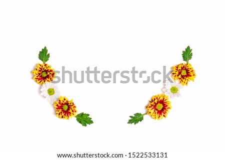pattern of flowers yellow, red and white asters, green leaves  isolated on white background Flat lay Top view Mock up Sesonal concept Hello autumn, spring or summer, Good morning