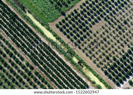 Aerial view of plantations onthe Neretva River delta, Croatia