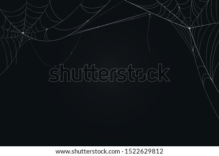 cobweb background. The scary of the halloween symbol Isolated on dark background Royalty-Free Stock Photo #1522629812