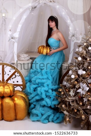 cinderella christmas in a carriage in a blue dress