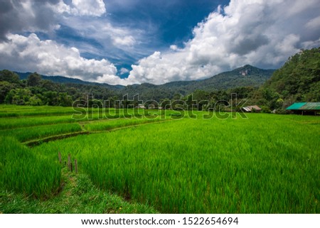 Nature Wallpaper (Mountains, Green Fields, Roadside Accommodation, Twilight Sky) The beauty of nature while traveling, with the wind blowing through the blurred leaves.