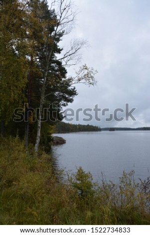 Swedish lakes in fall colors