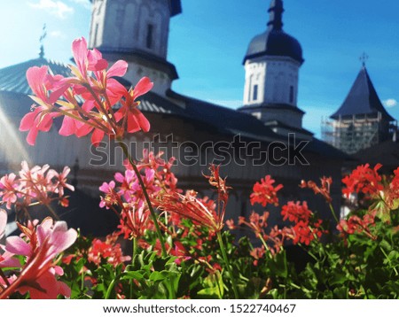Beautiful old church behind some pink flowers