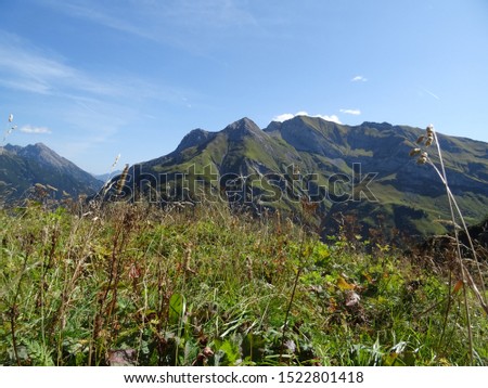 beautiful mountain nature in austria