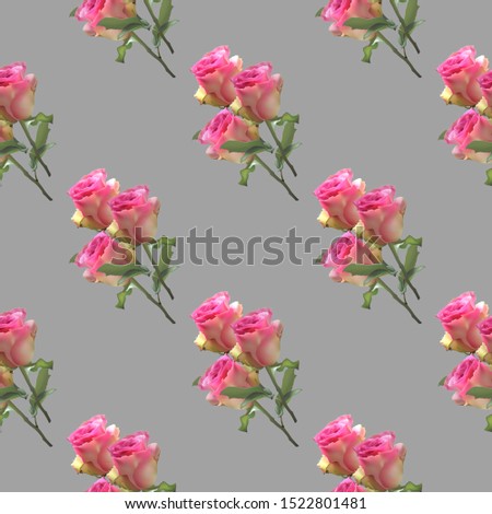 Seamless floral pattern with pink roses on gray background. Realistic vector illustration.