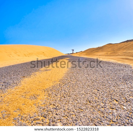 Cracked asphalt road crossing an arid dune terrain.