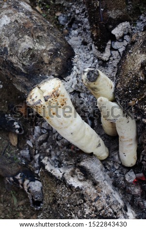 Cooking cassava in embers directly