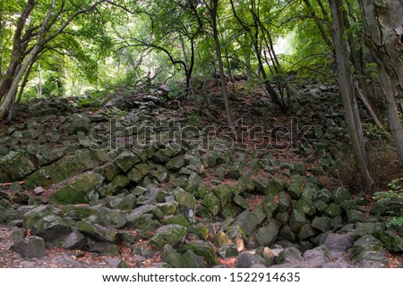 Basalt rocks in Hungarian forest