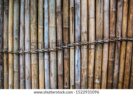 Old textures bamboo wall background,bamboo sticks tied togethe.