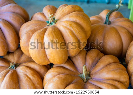 Fall colors autumn orange pumpkins