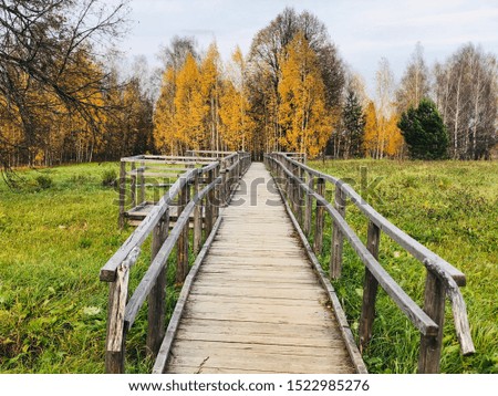 Beautiful nature and landscape photo. A nice long wooden bridge leads into the forest. Lovely outdoor picture of autumn nature. Calm, peaceful and happy image. Warm autumn evening.