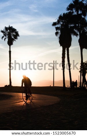 silhouette of road cyclist at santa monica beach at sunset. sunset in santa monica beach california