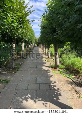 Old path way in English garden in perspective with green hedges and tree lined