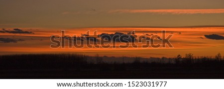 A silhouette of trees and clouds in an orange sky in a wide shot
