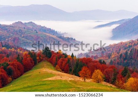 Amazing dawn autumn scenery with colorful trees on meadow, fog above valley and mountain ranges on background. National Natural Park Synevir, the Carpathian Mountains, Ukraine. Royalty-Free Stock Photo #1523066234
